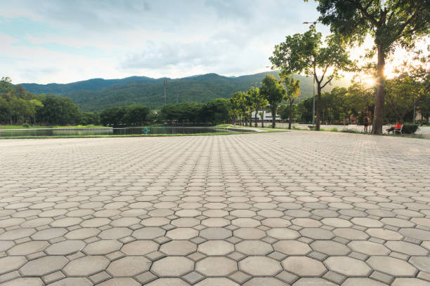 Best Decorative Driveway Pavers  in Mondovi, WI